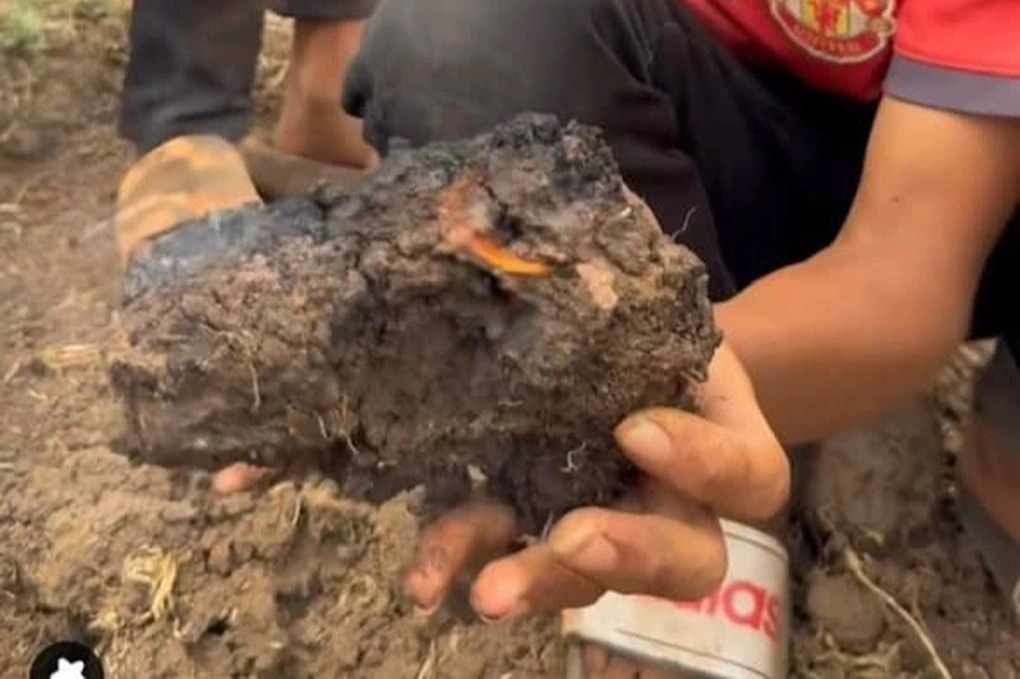 Đất mặt ruộng "bốc khói" là do người dân đốt rơm rạ, không phải thông tin sai lệch như trên mạng lan truyền. (Ảnh cắt từ clip).