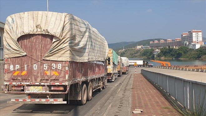 Xe của hai nước Việt Nam và Trung Quốc đợi làm thủ tục thông quan tại lối mở cầu phao Km3+4, cửa khẩu Móng Cái (Quảng Ninh). Ảnh: Nguyễn Hùng