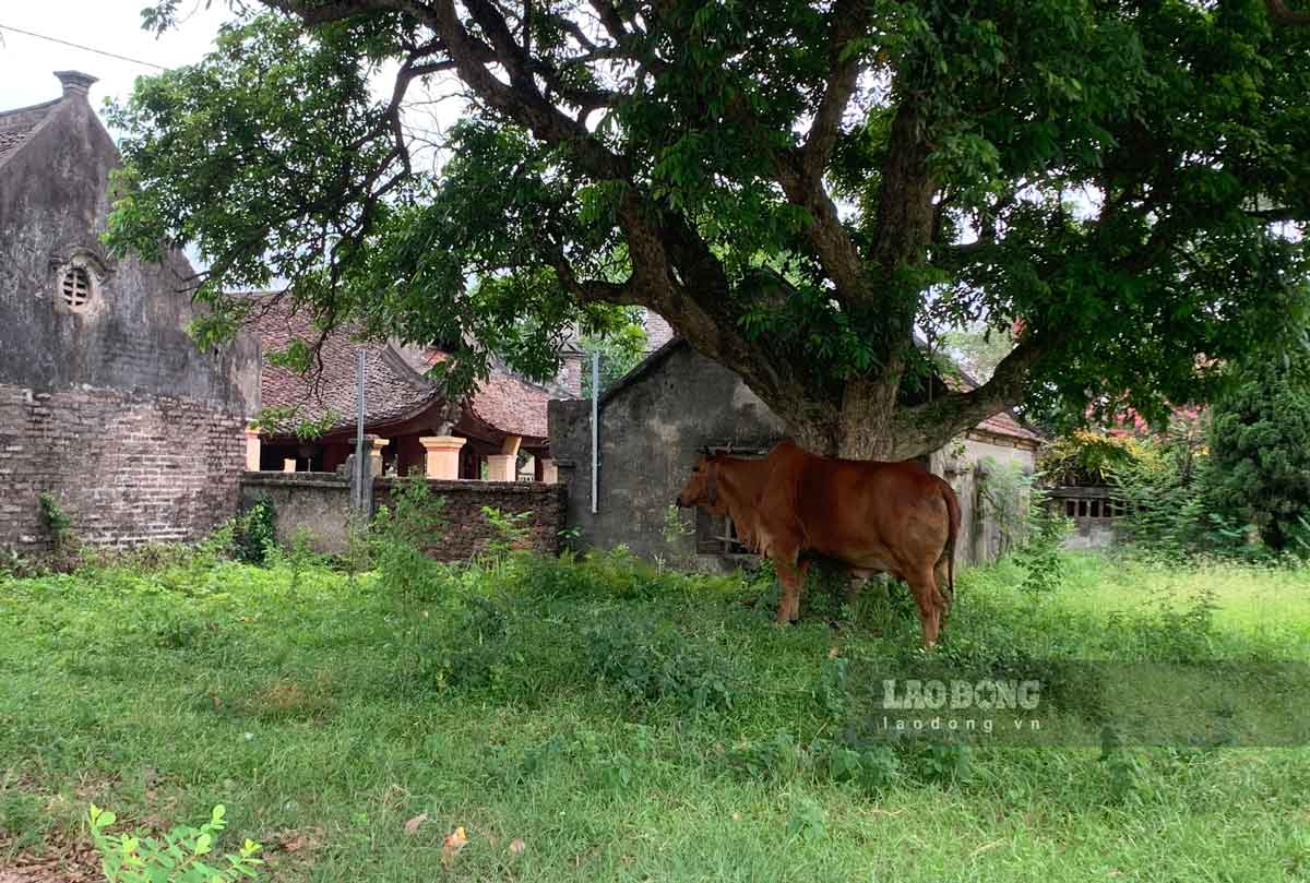 Behind the temple