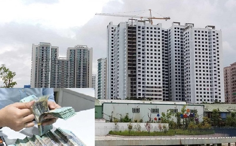 Trái phiếu bất động sản hoàn toàn vắng bóng từ đầu tháng 6 đến nay. Đồ họa: Lục Giang