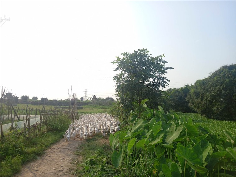 Ảnh: Xuyên Đông