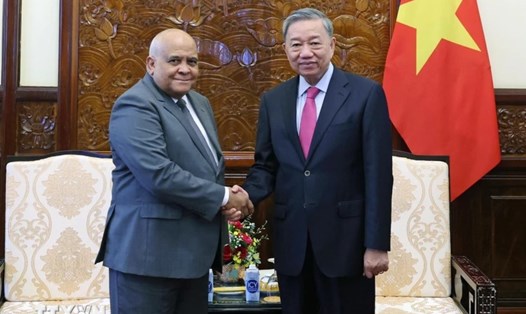 Chủ tịch nước Tô Lâm đề nghị Việt Nam - Cuba duy trì nhịp độ trao đổi đoàn, tiếp xúc cấp cao. Ảnh: Nhan Sáng/TTXVN