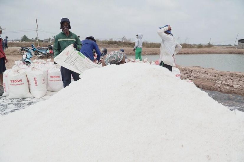Giá muối trung bình 1.000 đồng/kg nên diêm dân hầu hết có lãi. Ảnh: Nhật Hồ