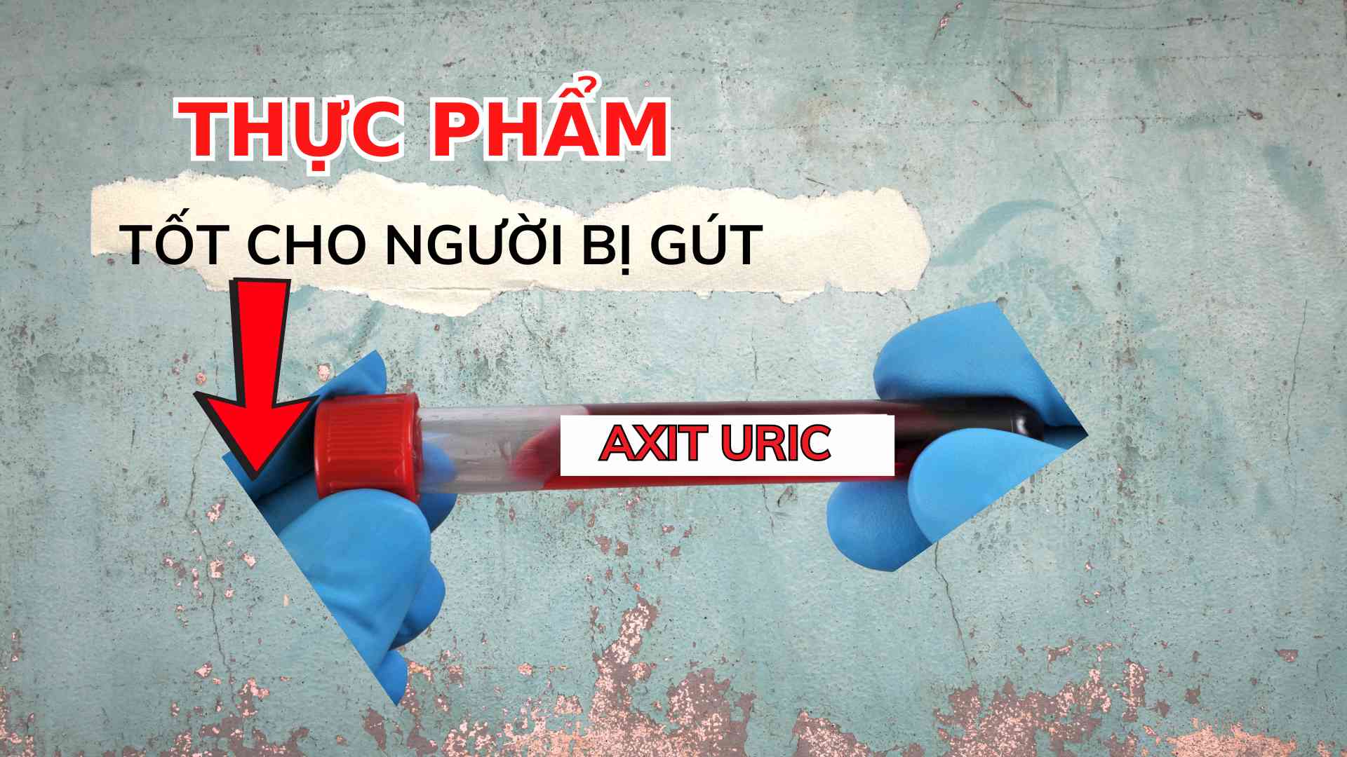 Thiết kế: Quỳnh Anh