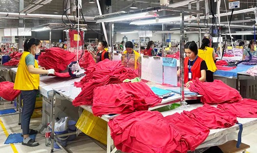 6 tháng đầu năm, Nghệ An thu ngân sách từ hoạt động xuất, nhập khẩu ước thực hiện 836 tỉ đồng. Ảnh: Hải Đăng