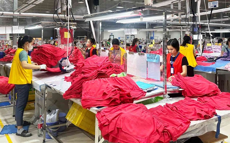 6 tháng đầu năm, Nghệ An thu ngân sách từ hoạt động xuất, nhập khẩu ước thực hiện 836 tỉ đồng. Ảnh: Hải Đăng