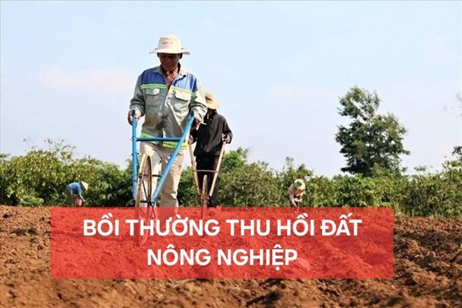 Điều kiện bồi thường mới bằng nhà ở, đất ở nếu bị thu hồi đất nông nghiệp