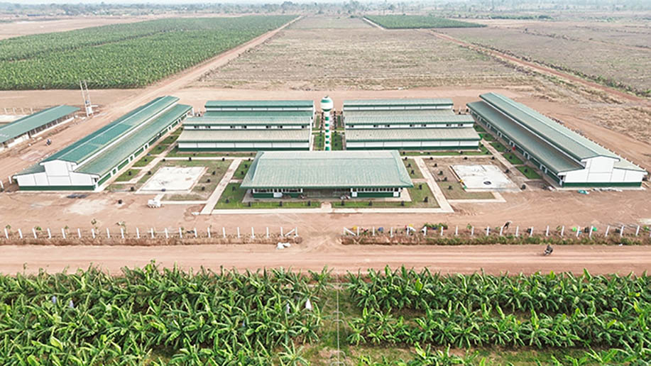 Khu nhà ở (Nông trường DP1.1 KLH Koun Mom) được THACO AGRI  đầu tư khang trang, tiện nghi. Ảnh: THACO AGRI