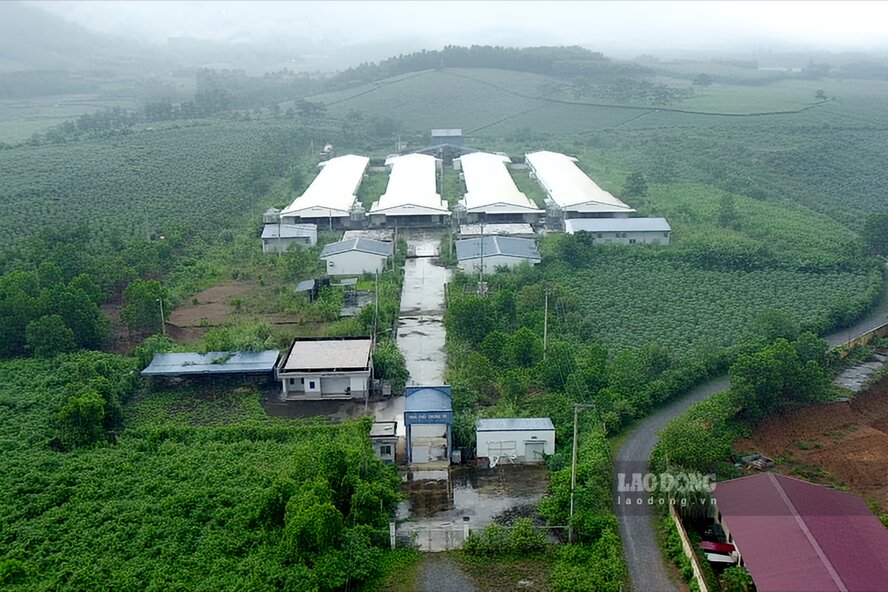 Tháng 3.2017, Nhà máy sản xuất trứng gà sạch ĐTK Phú Thọ nằm trên diện tích hơn 42ha tại xã Tề Lễ, huyện Tam Nông chính thức được đưa vào vận hành. Ảnh: Tô Công.