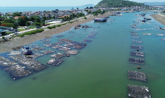 Chí chít các bè nuôi vẹm ở khu vực sông Lạch Bạng, khiến tàu thuyền không còn nơi tránh trú. Ảnh: Minh Hoàng
