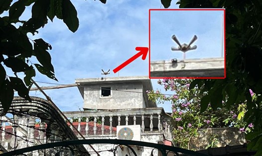 Nhà yến cạnh điểm thi Trường THPT Nguyễn Huệ (TP Tuy Hòa, Phú Yên) phát loa dẫn dụ chim yến gây ồn ào, khiến nhiều phụ huynh bức xúc. Ảnh: Nguyễn Minh