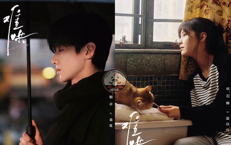 Phim "Khó dỗ dành" của Chương Nhược Nam và Bạch Kính Đình đã phát hành poster. Ảnh: NSX