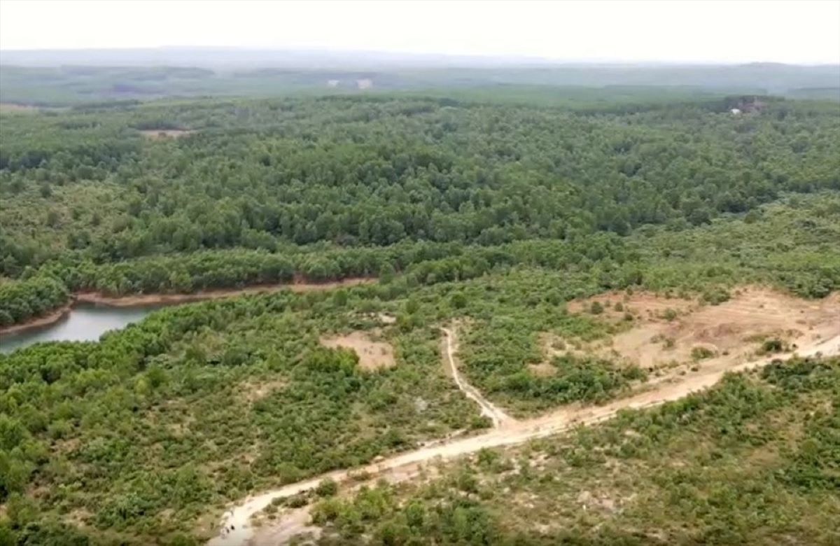 Diện tích đất thực hiện dự án Vùng nông nghiệp ứng dụng công nghệ cao FAM – Quảng Trị. Ảnh: Hưng Thơ.