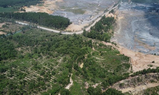 Ranh khu đất 12,3 ha được UBND tỉnh Đồng Nai chỉ đạo giải quyết dứt điểm. Ảnh: PV