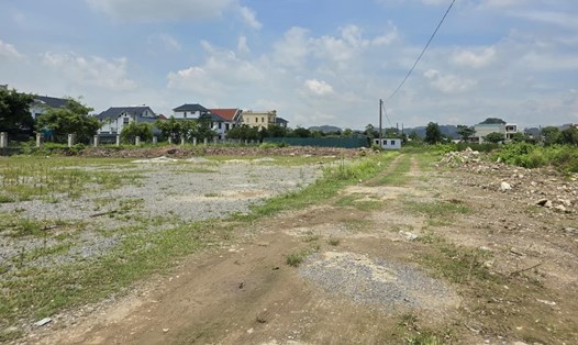Gần 2ha đất được giao để xây dựng Dự án trường liên cấp chất lượng cao Mai Thế Hệ ở Ninh Bình bị bỏ hoang nhiều năm gây lãng phí. Ảnh: Nguyễn Trường