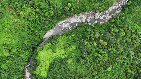 Suối trong rừng sườn Đông Tam Đảo. Ảnh: Quang Minh