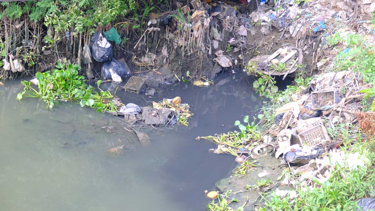 Nhiều rác thải sinh hoạt bị vứt bừa bãi khiến rạch Đầu Sấu bị ô nhiễm. Ảnh: Ngọc Ly