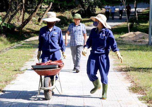 Mỗi ngày, các con hổ được cho ăn hai bữa, với khẩu phần gồm thịt bò, lợn, gà hoặc thỏ, được tính toán phù hợp với từng cá thể.  Ảnh: Công Sáng