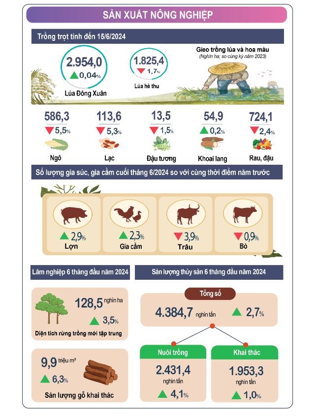 Tình hình sản xuất NN 6 tháng đầu năm 2024. Nguồn: GSO