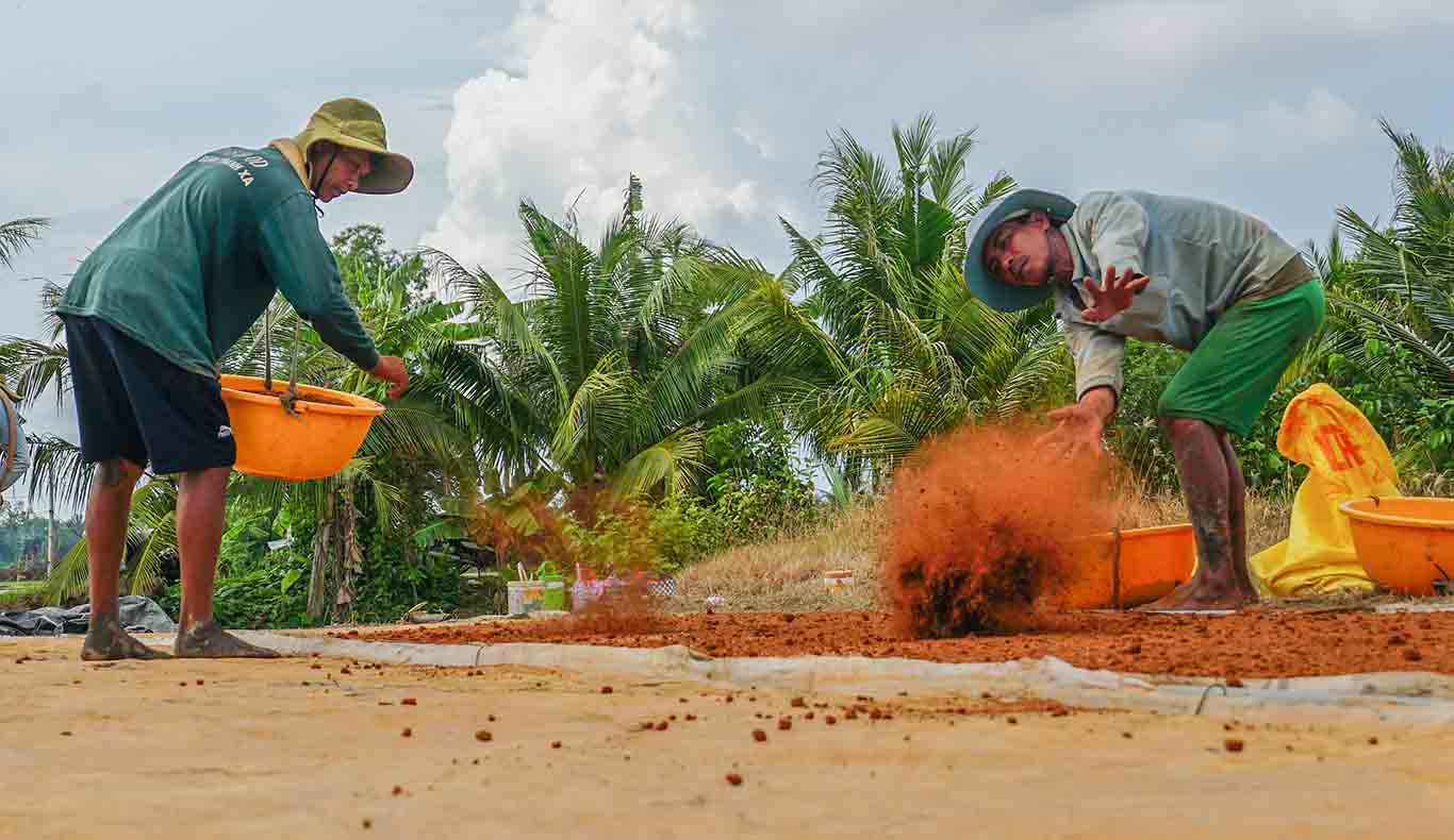 Sau khi sạ đủ lượng giống sẽ tiến hành phủ lớp xơ dừa mịn lên trên bề mặt giống để tạo ẩm, độ mát và che thêm một lớp lưới mỏng để tránh gió, mưa dội trao giống.