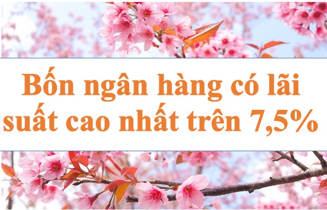 Lãi suất ngân hàng hôm nay 5.6: Bốn ngân hàng có lãi suất cao trên 7,4%