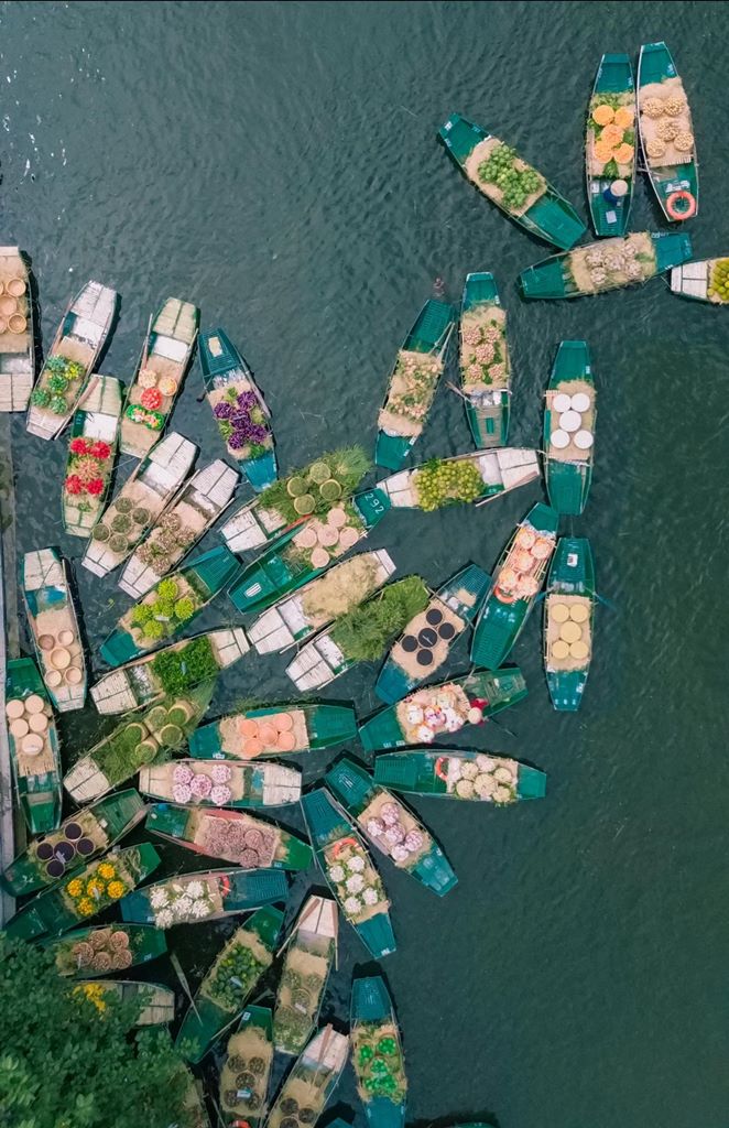 Bến thuyền Tam Cốc mùa này nhộn nhịp đón đưa khách du lịch trong và ngoài nước đi nghỉ hè ngắm lúa chín. Mùa lúa nơi đây sẽ còn kéo dài khoảng một tuần và gặt dần từng khu vực thay vì thu hoạch đồng loạt. 