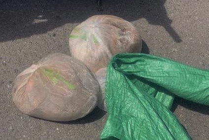 2 cá thể tê tê đựng trong bao lưới được người phụ nữ vận chuyển trái phép. Ảnh: Công an Quảng Trị.