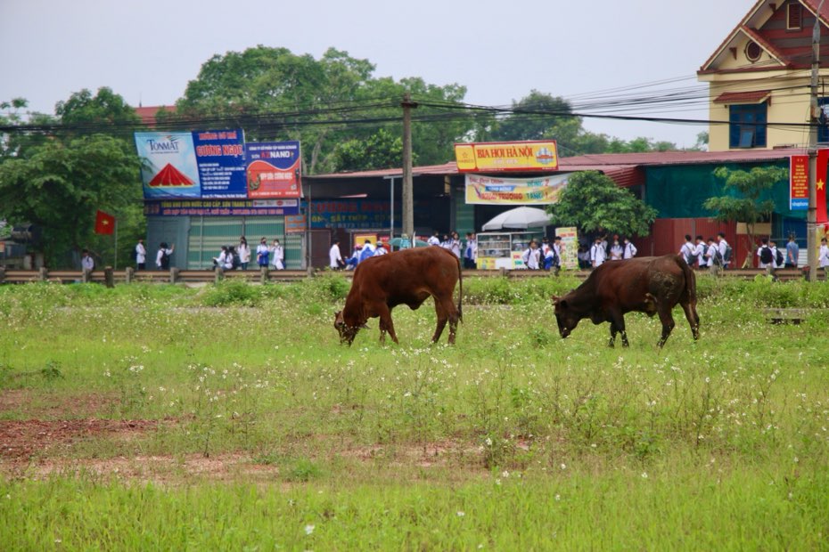 Dự án khu đô thị số 5 chậm tiến độ sau hơn 2 năm triển khai. Ảnh: Việt Bắc.