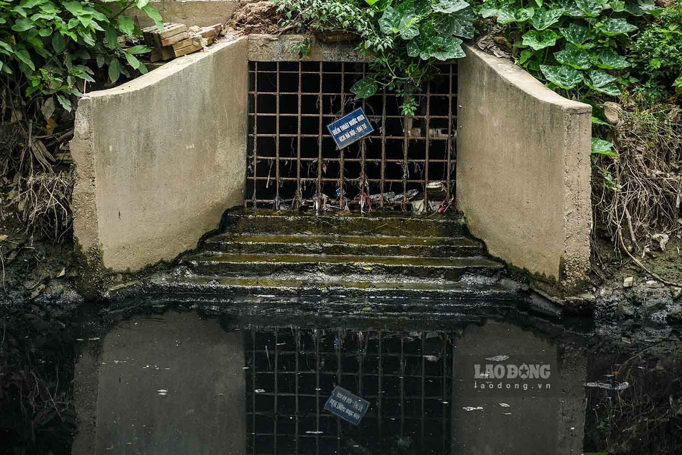 Ngoài ra, dọc sông này còn có hàng trăm cống thoát nước dân sinh chưa qua xử lý chảy ra, nước đen đặc, bốc mùi hôi thối, không có dấu hiệu sự sống của sinh vật.