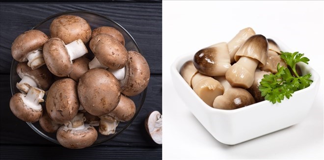 Loại nấm nào giúp giảm cholesterol?