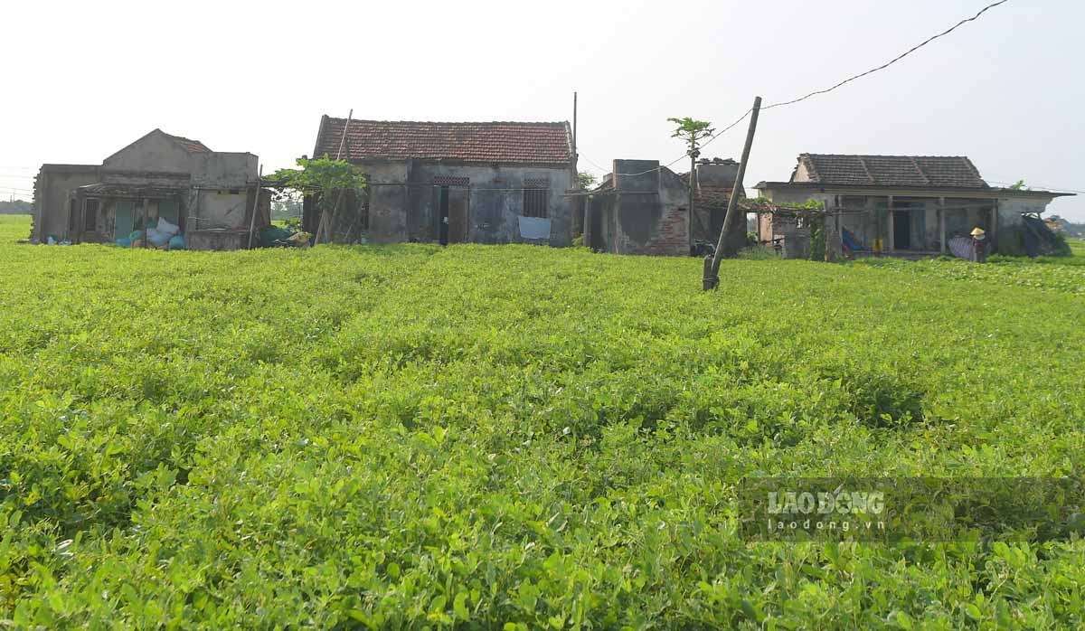 Theo chia sẻ của người dân, 