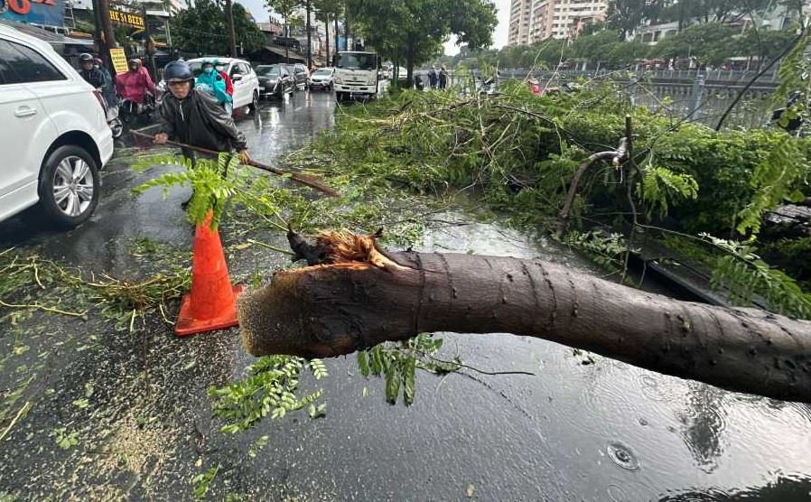 Vào mùa dông lốc, TPHCM yêu cầu triển khai gấp các biện pháp phòng chống