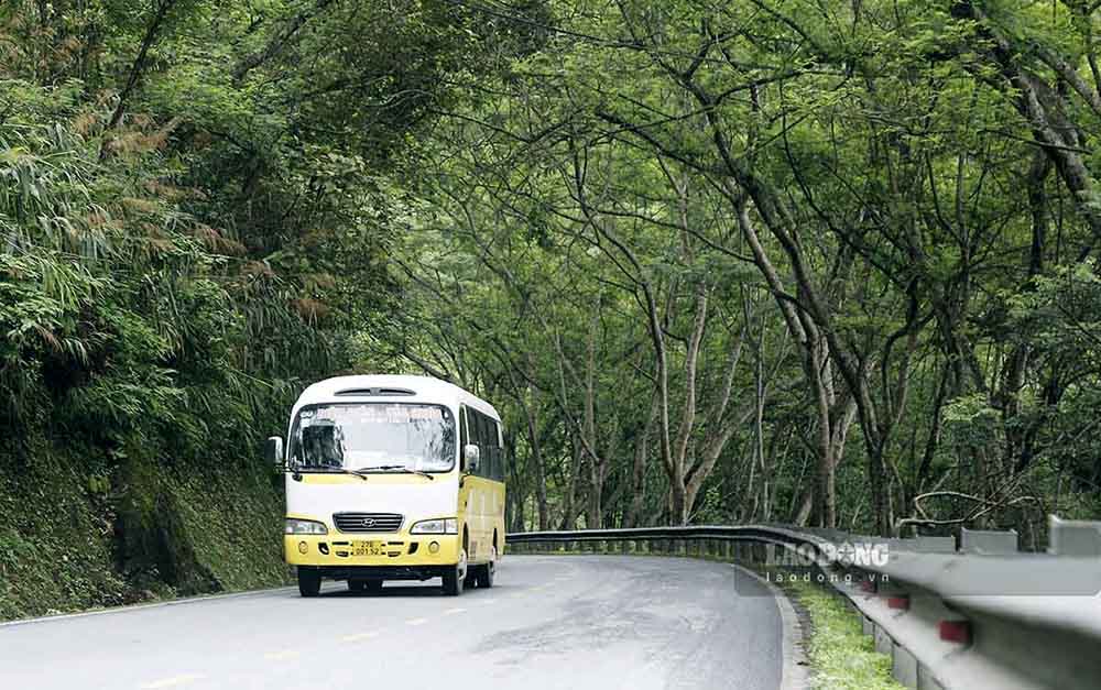 Có những đoạn được phủ kín bởi hàng cây che bóng như lạc vào một đường hầm mát rượi...