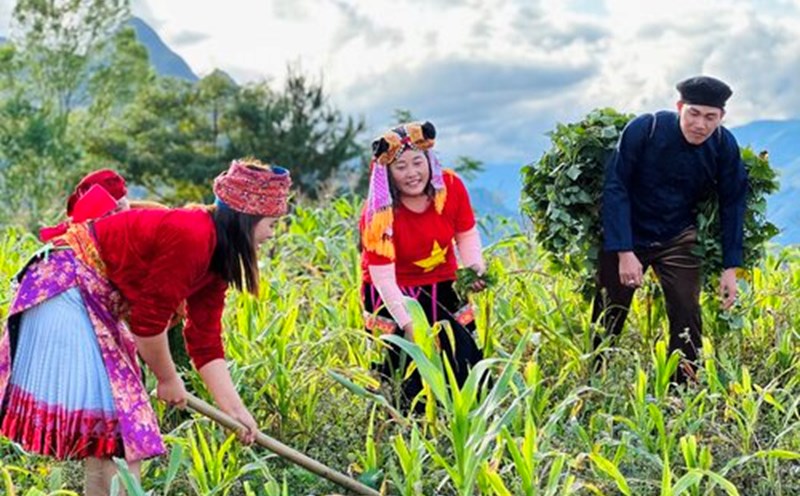 Ca sĩ - nhạc sĩ Quách Beem và dự án âm nhạc quảng bá hình ảnh, du lịch Việt Nam. Ảnh: NVCC