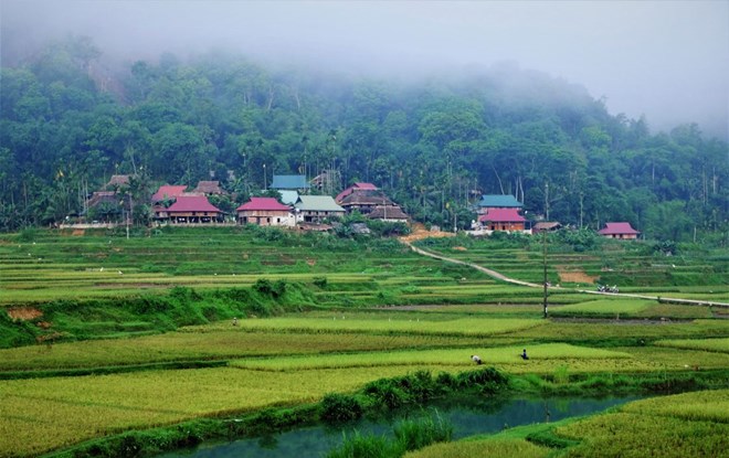 Sống chậm giữa mùa vàng Pù Luông - hòn ngọc ẩn của miền Tây Thanh Hóa