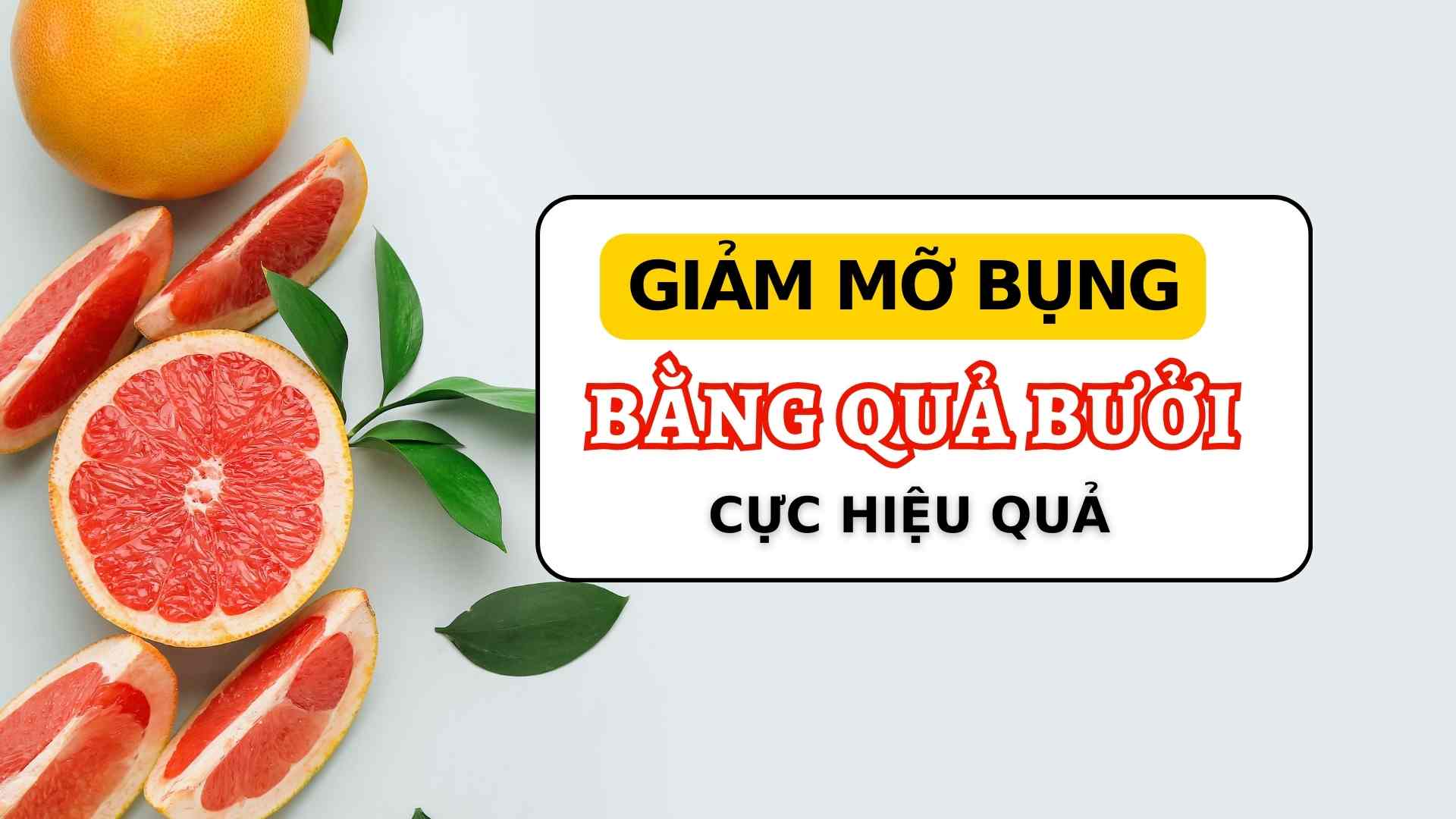 Thiết kế: Thạch Lam 