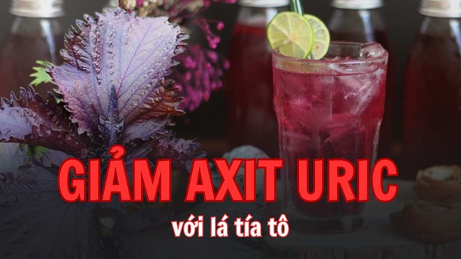 Bị axit uric cao có ăn lá tía tô hàng ngày không?