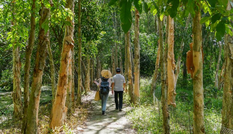 Ngoài di chuyển bằng vỏ lãi, du khách cũng có thể đi bộ dọc theo những con đường mòn dưới những hàng cây xanh mát.