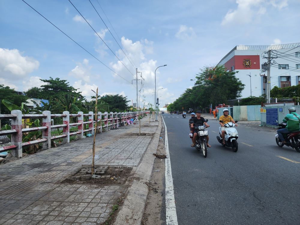 Ghi nhận của phóng viên vào ngày 9.6, các cây xanh chết khô trên đường Lương Ngọc Quyến (quận Gò Vấp) chết khô trước đó, nay đã được trồng thay thế cây mới. Ảnh: Anh Tú