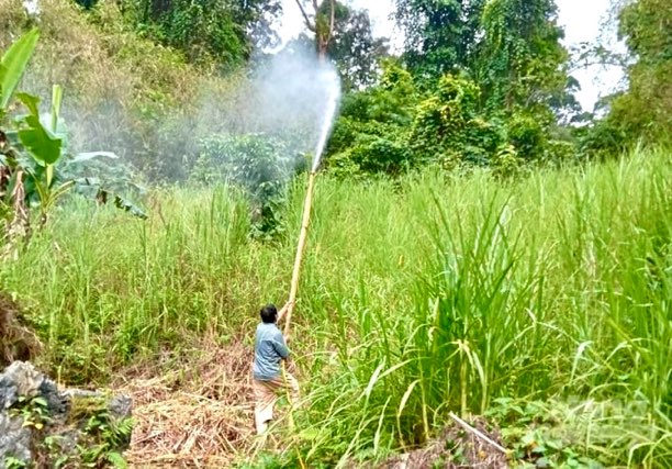 Bình phun thuốc thủ công khó