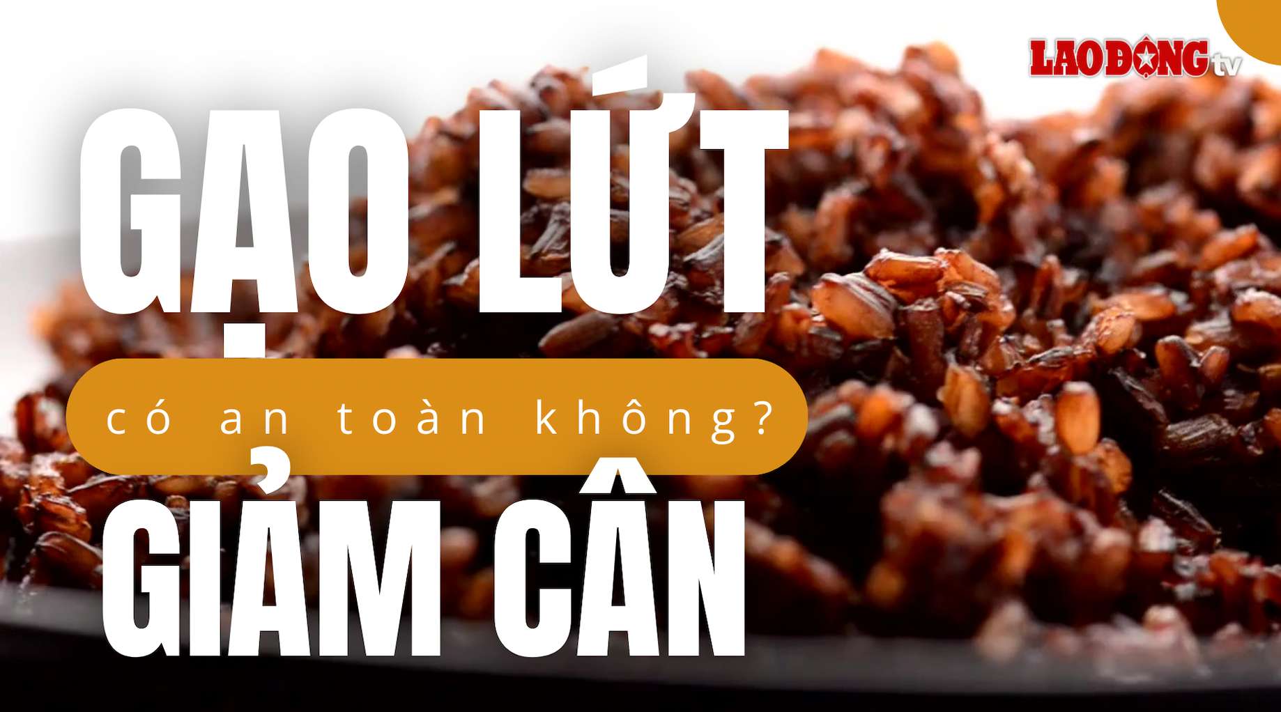 Thiết kế: Trần Hương