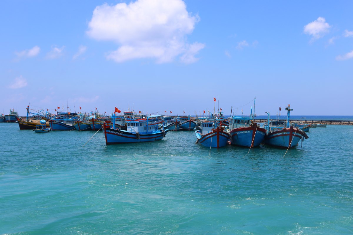 Tàu cá neo đậu tại khu vực cảng Phú Quý, Bình Thuận. Ảnh: Duy Tuấn