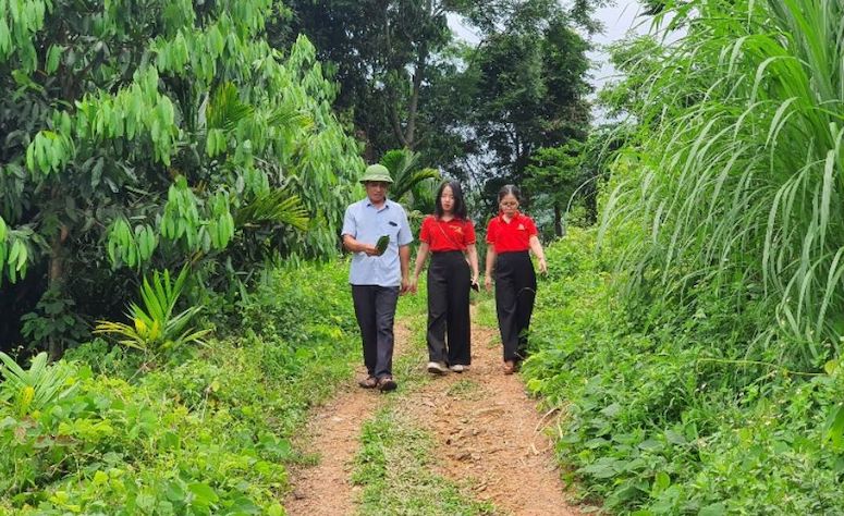 Cán bộ Agribank thăm vùng nguyên liệu quế tại Yên Bái của Công ty cổ phần Prosi Thăng Long. Ảnh: Agribank