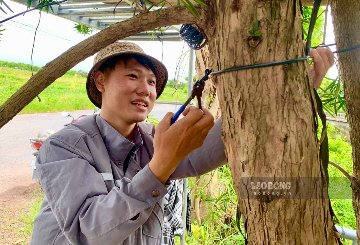 Đồ nghề để đi sửa cây cảnh rất đơn giản, chỉ là vài chiếc kéo, cưa, đục,…và không phải tốn bất kỳ đồng vốn nào. Ccũng là một người được giới mê cây cảnh gọi là “nghệ nhân” bởi khả năng hiểu biết am tường về cách dựng phom cho cây, có cách biến những dáng cây tưởng chừng đơn giản thành nhiều thế độc, lạ, bắt mắt...