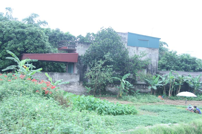 Hàng chục hộ dân tại thôn Ích Duệ, xã Ninh Nhất (thành phố Ninh Bình) vẫn chưa nhận tiền đền bù giải phóng mặt bằng để thực hiện Dự án Công viên văn hóa Tràng An. Ảnh: Nguyễn Trường