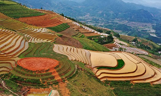 Ruộng bậc thang và "mâm xôi" đang được hình thành và hứa hẹn là điểm đến của khách du lịch. Ảnh: Thanh Miền