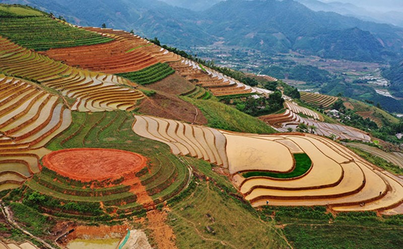 Ruộng bậc thang và "mâm xôi" đang được hình thành và hứa hẹn là điểm đến của khách du lịch. Ảnh: Thanh Miền