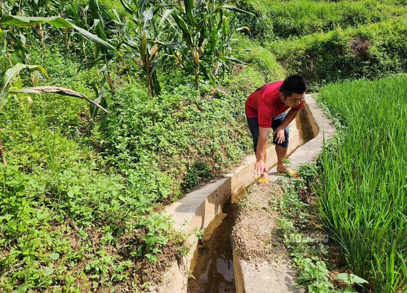 Anh Nông Văn Liêm chỉ về hướng dòng chảy từ trên nhà máy cuốn theo đất đá vùi lấp ruộng của gia đình.