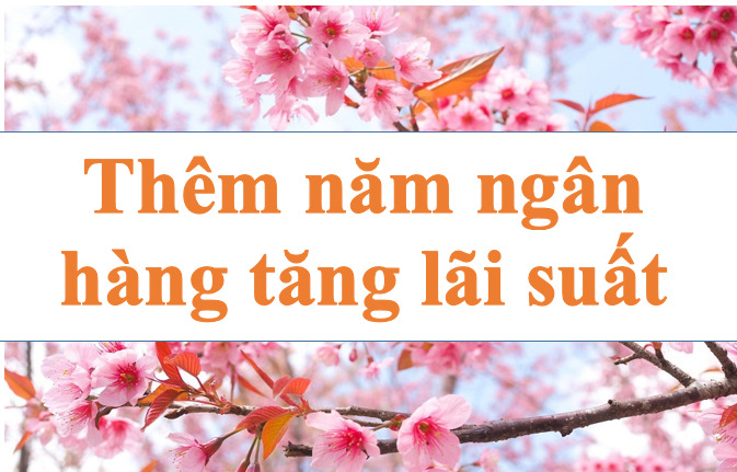 Nhiều ngân hàng tiếp tục tăng lãi suất. Đồ họa: Hà Vy