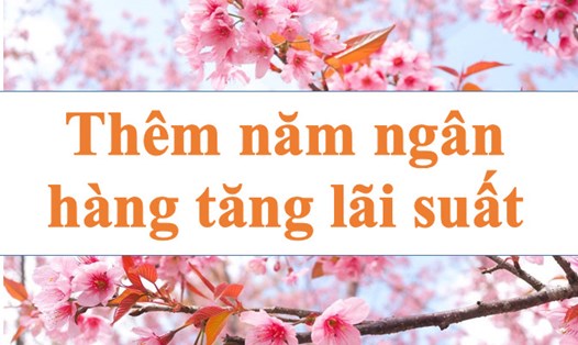 Nhiều ngân hàng tiếp tục tăng lãi suất. Đồ họa: Hà Vy
